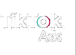 TikTok Ads